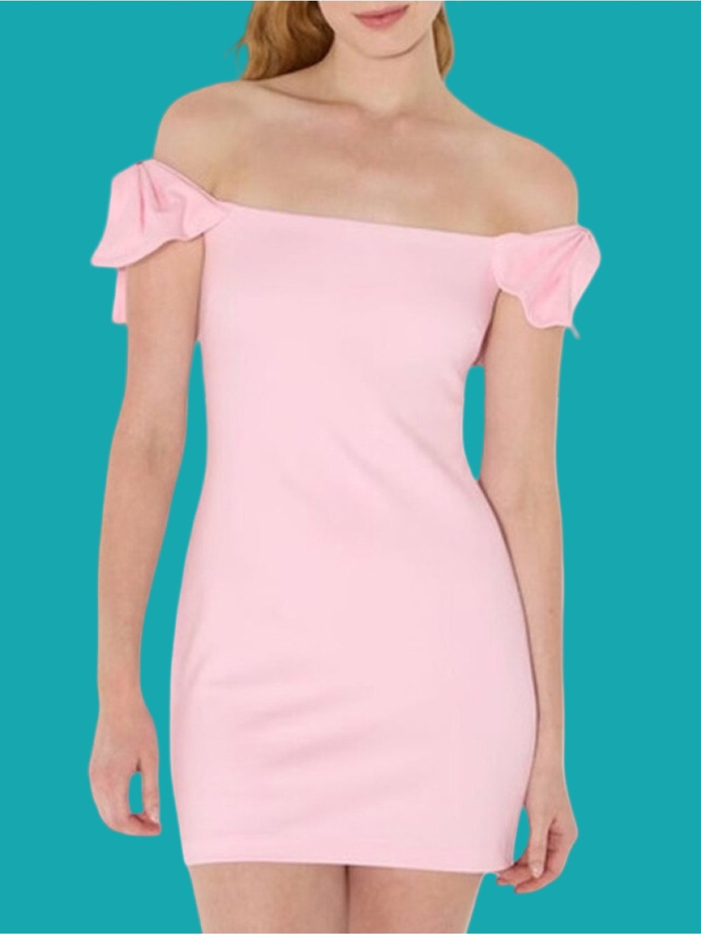 Wild Fable Mini Dress